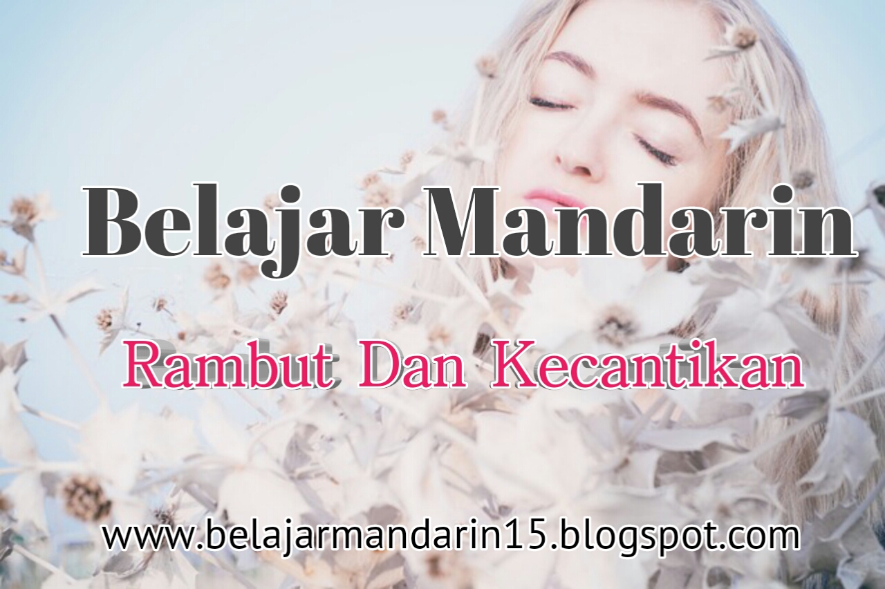 Rambut Dan Kecantikan BELAJAR MANDARIN