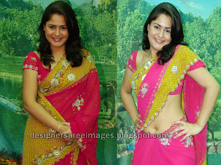 Actress farzana in Pink Designer Saree Pictures