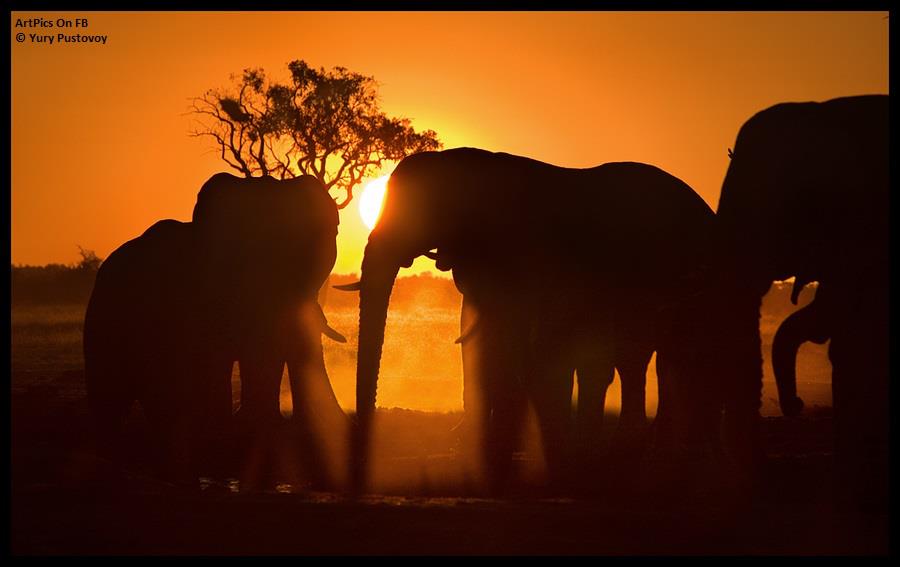 Yury Pustovoy photography Desert sahara