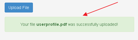 file-upload-validation-success