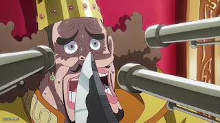 ワンピース アニメ 1131話 ネタバレ 感想 ひとときの幸せ くまちーとジニー ONE PIECE Episode 1131