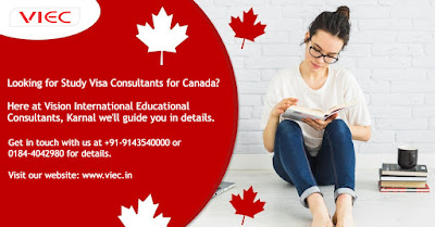 Best Study Abroad Services in Karnal