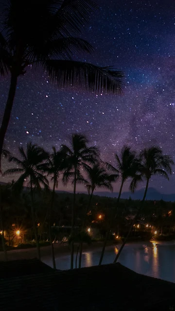 Starry Night, Beach, Sea, Palm Trees
