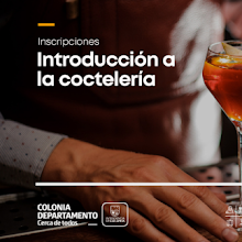 Curso “Introducción a la coctelería” en Colonia