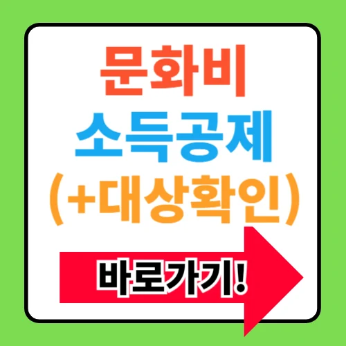헬스장 수영장 문화비 소득공제, 대상 조건 및 조회 방법, 내가 다니는 곳은 될까?