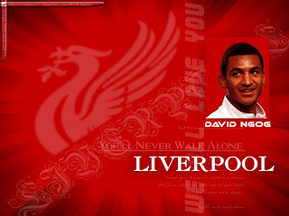 David Ngog Wallpaper 2011