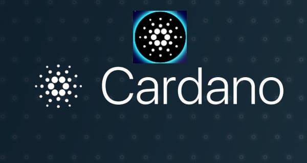 Cardano a new record