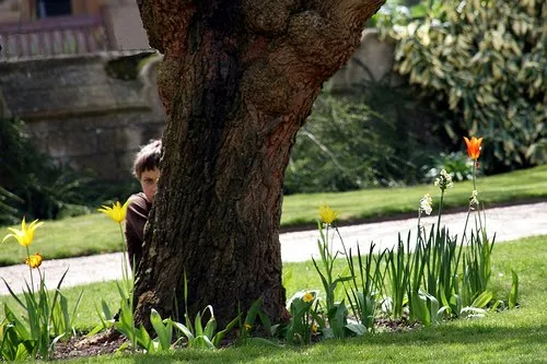 hiding behind a tree