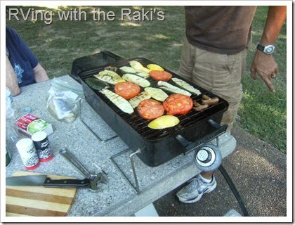 Grilling some fish and vegetables at the local rest stop is a quick and delicious way to save some money on a road trip.  RVing with the Raki's