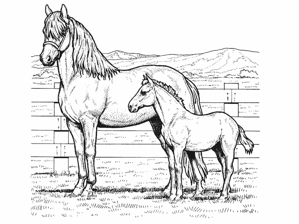 Horses To Color 2