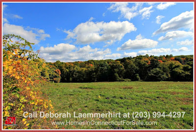 This historic Lee Von farm luxury equestrian property for sale in Bridgewater CT is a perfect investment for a luxurious rural living!