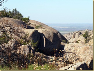 P1270810