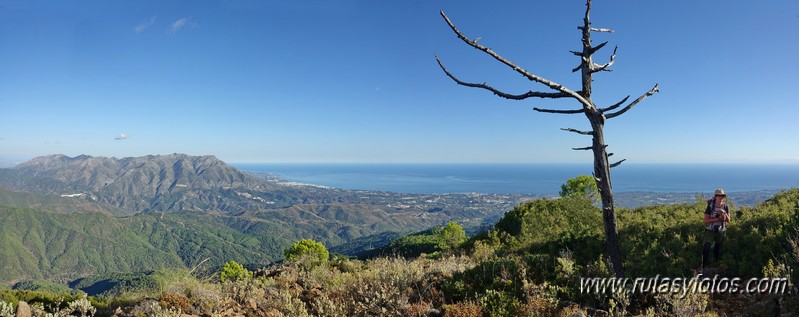 Sierra Palmitera