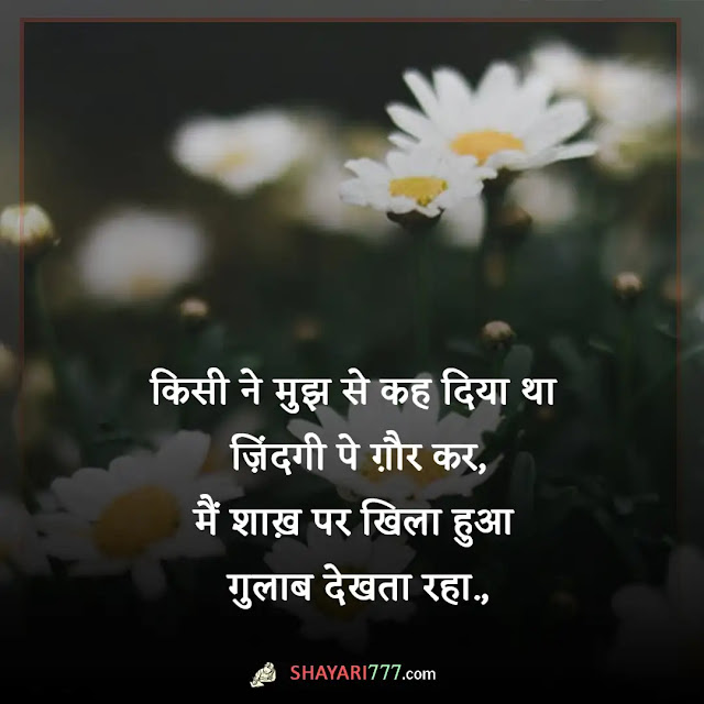 phool hai gulab ka shayari in hindi, phool hai gulab ka sugandh lijiye shayari hindi, फूल है गुलाब का खुशबू लिया करो शायरी, गुलाब और कांटे शायरी, गुलाब का फूल फोटो शायरी, गुलाब फनी शायरी, गुलाब शायरी वीडियो, प्यार गुलाब फूल शायरी, गुलाब शायरी २ लाइन्स, गुलाब पर शायरी रेख़्ता