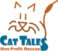  Cat Tales