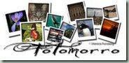 fotomorro