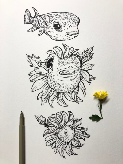 10-Pufferfish-to-flower-Ink-Drawings-Noel-Badges-Pugh-www-designstack-co