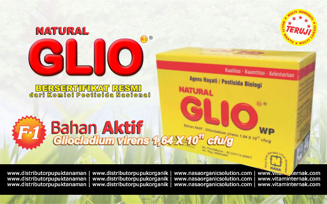 Natural GLIO Gliocladium sp Pestisida Organik untuk Jamur  