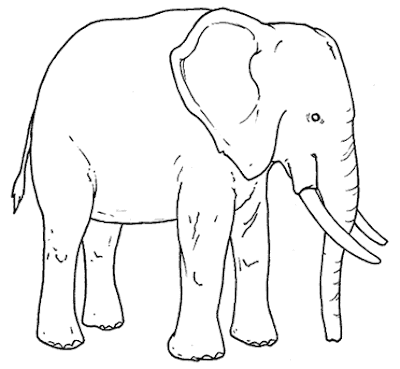 Ilustración de un elefante para colorear o pintar 