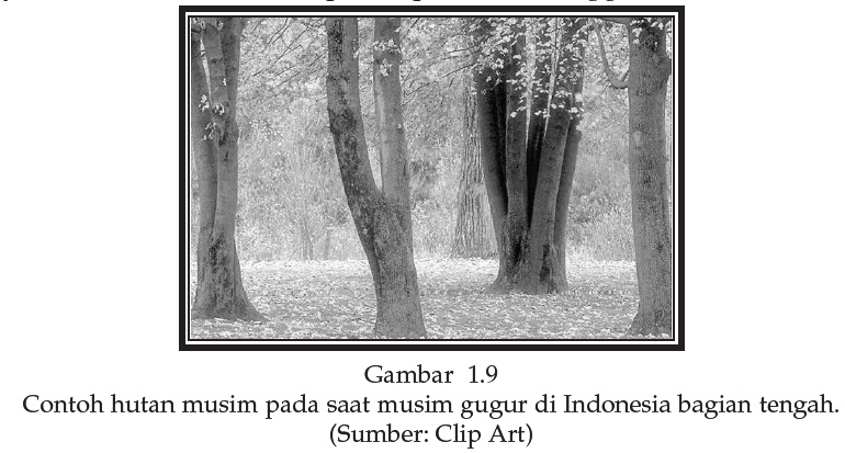 Persebaran Flora dan  Fauna di  Indonesia  Sumber Ilmu