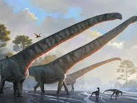 China fossils reveal 70-tonne dinosaur had 15-metre neck.