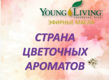 Для консультации свяжитесь со мной!