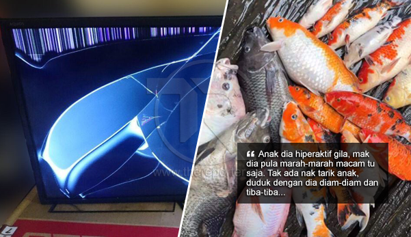 'Beranak pandai, didik tak tahu' - TV Plasma pecah, 20 ekor ikan mati angkara anak tetamu datang beraya