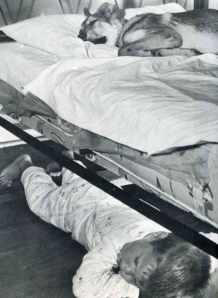 60 Inspiring Historic Pictures That Will Make You Laugh And Cry - Boy Sharing Bed With His Best Friend