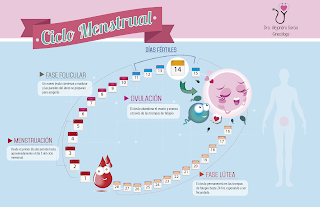 ciclo menstrual calendario, calendario menstrual dias fertiles, calendario menstrual para no quedar embarazada, descargar calendario menstrual, calendario menstrual online, calendario menstrual app, calculadora de menstruacion exacta, calendario menstrual para pc, ser padres calendario embarazo