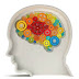 GOOGLE MADE ARTIFICIAL BRAIN