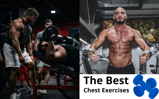 The Best Chest Exercises at the Gym: A Complete Guide