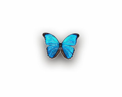 Blue butterfly 3d free desktop wallpapers