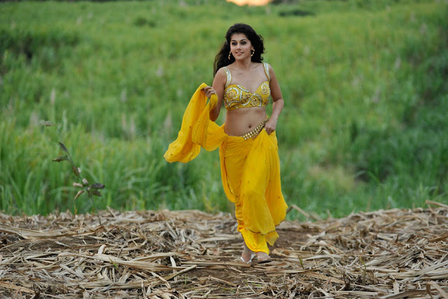 tapsee new spicy saree in mogudu unseen pics