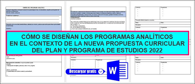 PROGRAMA SINTÉTICO, PROGRAMA ANÁLITICO, CODISEÑO Y PPT