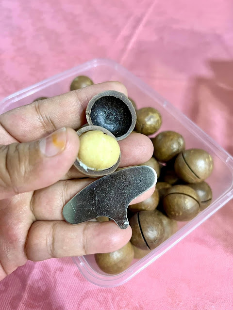 Kacang Macademia Berkhasiat Tapi Susah Nak Makannya!