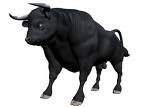 stock market bull phase