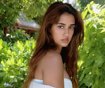 disha patani