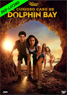 EL CURIOSOS CASO DE DOLPHIN BAY – THE CURIOUS CASE OF DOLPHIN BAY – DVD-5 – DUAL LATINO – 2022 – (VIP)