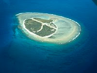 Image of Lady Elliot Island