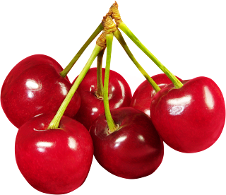 13 Best Health Benefits OF Eating Cherry Fruit