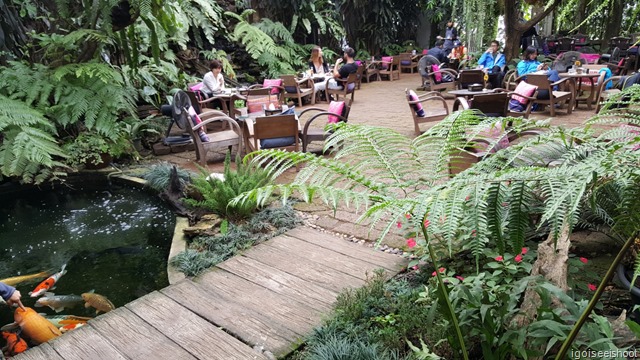 Fern Forest Cafe in Chiang Mai Old City