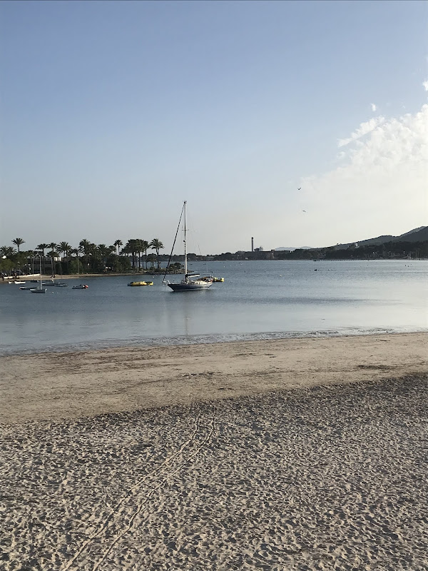 Harbour in Alcudia Mallorca