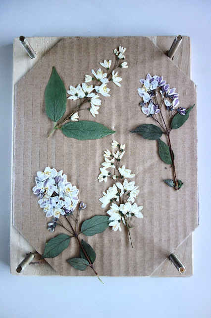 pressed flowers, dried flowers, crafting with flowers, blah to TADA, nature crafts, framed flowers, inexpensive art