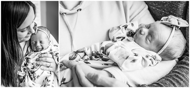 Terre Haute Newborn Photographer