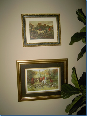 pictures 008