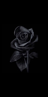Realme Narzo 20 Pro Wallpapers