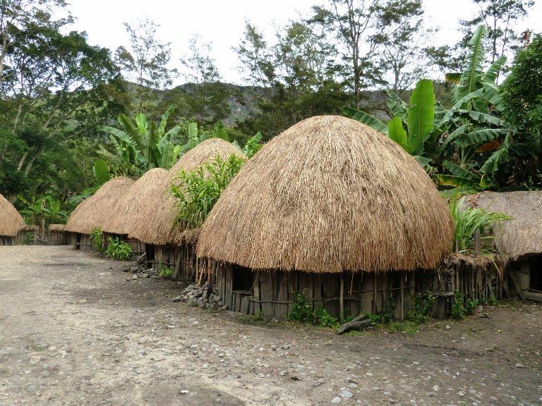 ツ 12+ gambar desain rumah adat papua timur dan barat 