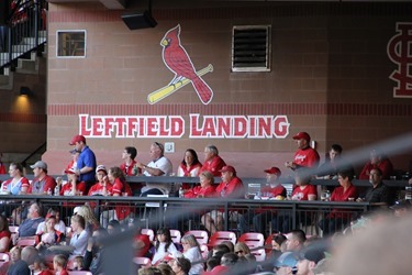 IMG_8722_thumb[3]