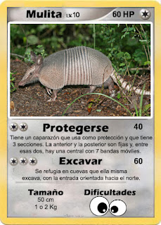 Cartas de Pokemon con Fauna uruguaya (Pradera) - Mulita