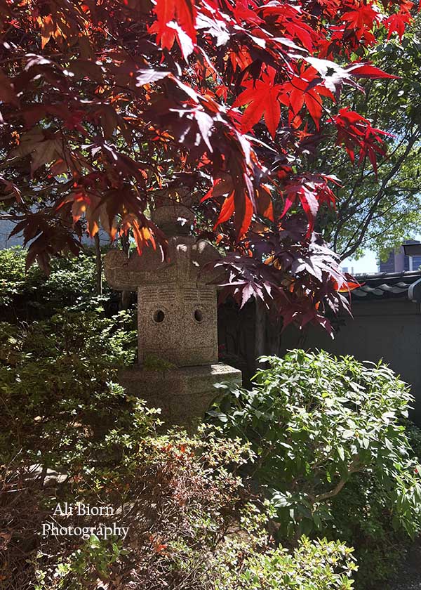 Stone Lantern Toro in foliage